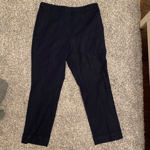 Ann Taylor Navy Blue Trouser Pant
